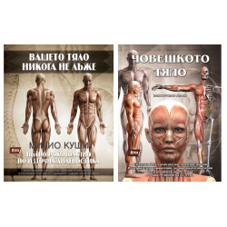 Комплект Вашето ТЯЛО никога не лъже + Човешкото тяло. Илюстрован атлас