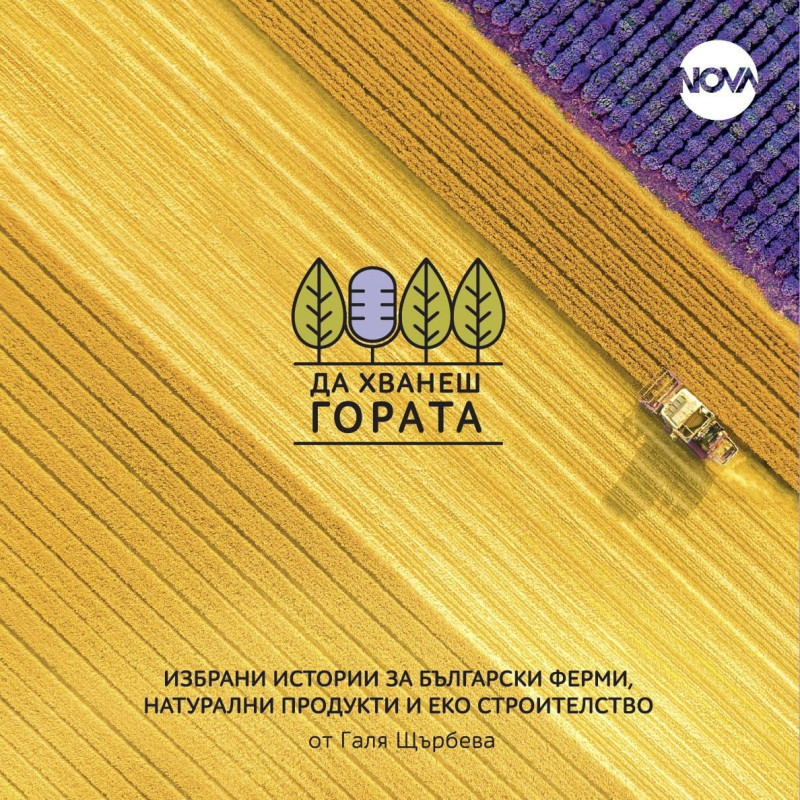 Да хванеш гората - част 2