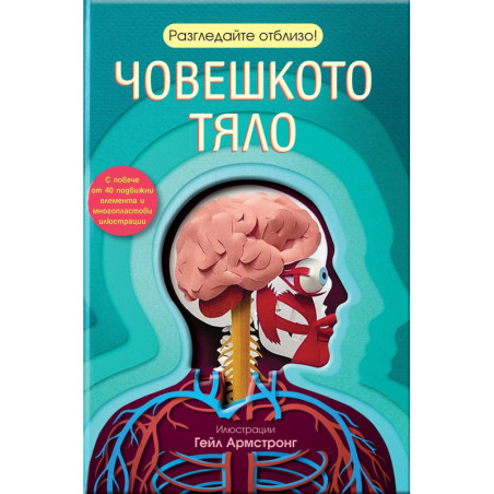 Разгледайте отблизо! Човешкото тяло