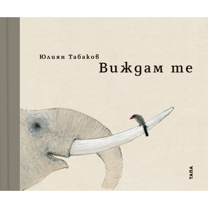 Виждам те