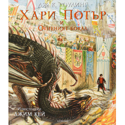 Хари Потър и Огненият бокал