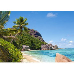 Tropical Beach, Seychelles