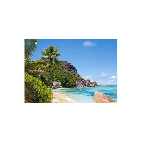 Tropical Beach, Seychelles