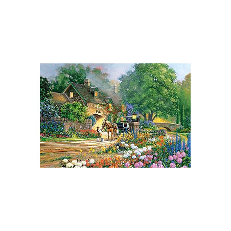 Rose Lane House, Douglas R. Laird