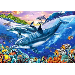 Dolphin Lagoon