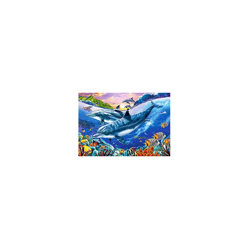 Dolphin Lagoon