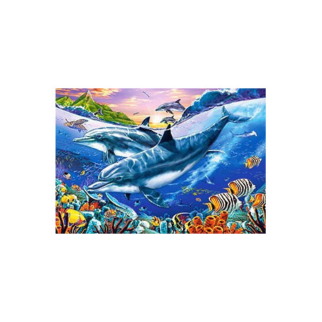 Dolphin Lagoon