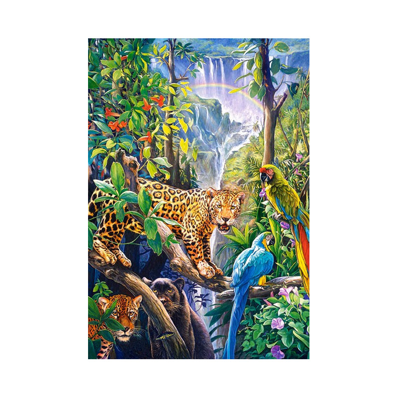 Rainbow Paradise