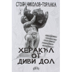 Северозападен романь