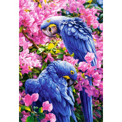 Blue Parrots