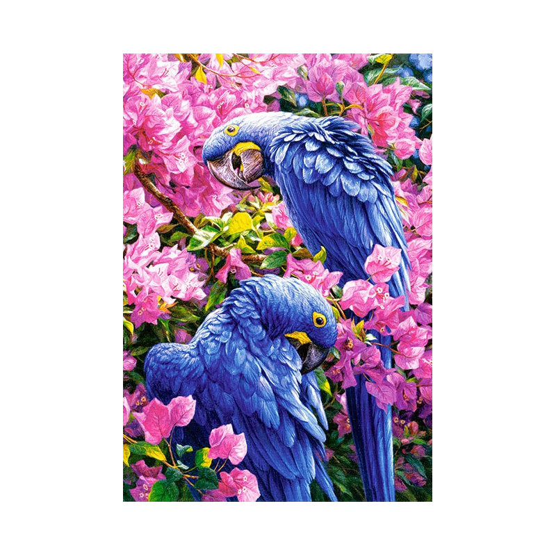 Blue Parrots