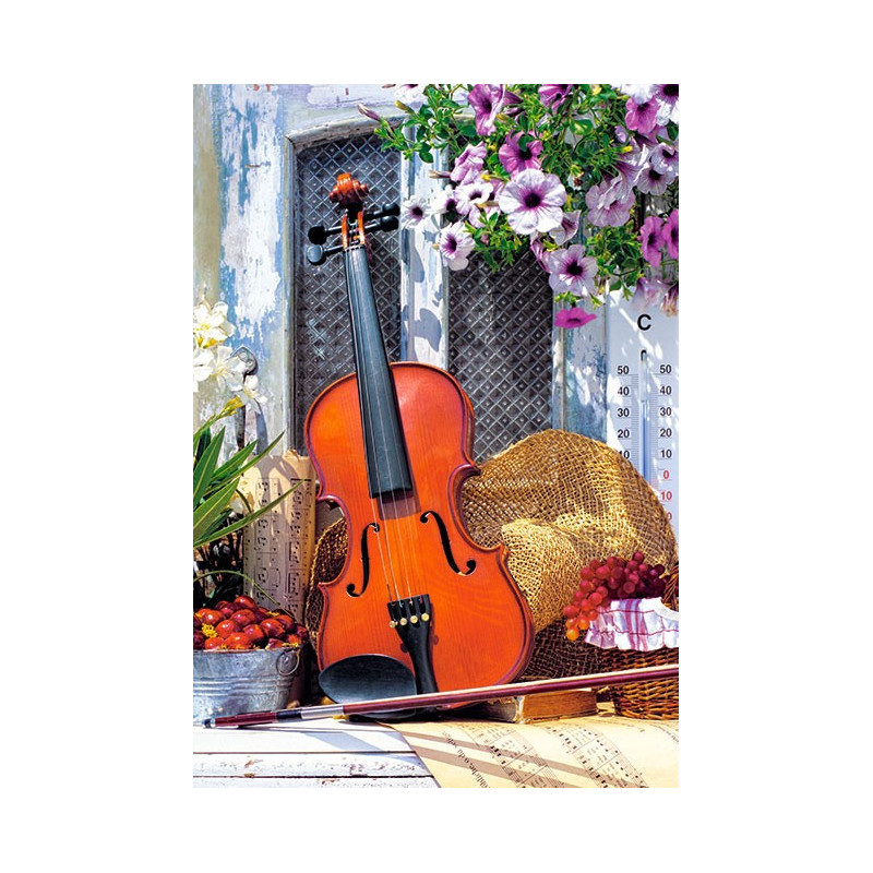 Violin's Melody
