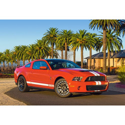 Shelby Ford Mustang GT 500