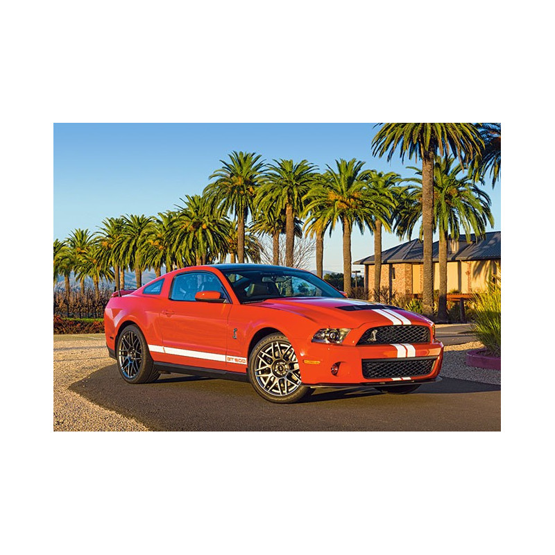 Shelby Ford Mustang GT 500