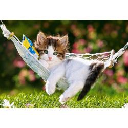 Коте в хамак