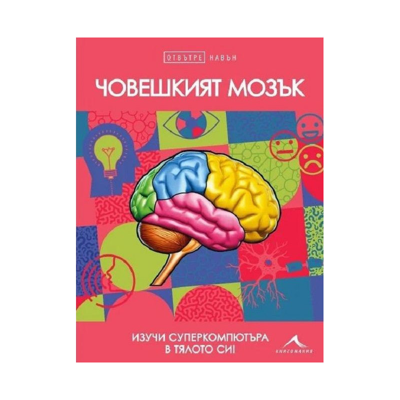 Отвътре навън: Човешкият мозък