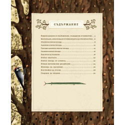 Как строят животните?