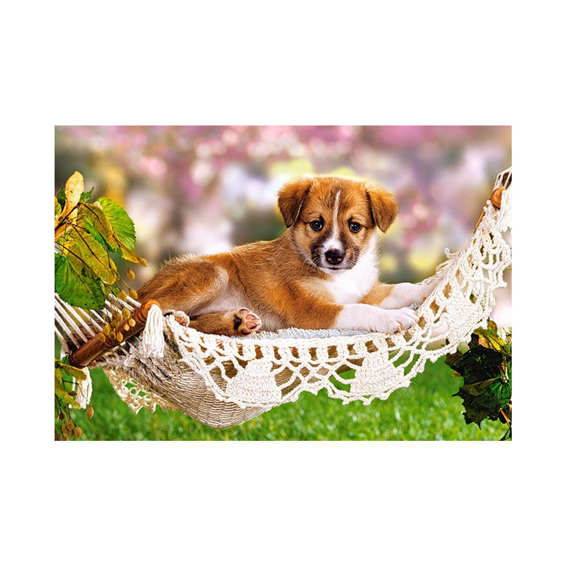 Garden Swing