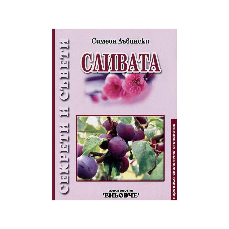Сливата