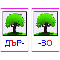 Думи в срички