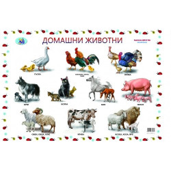 Диви и домашни животни