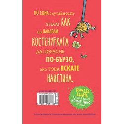 Костенурке, костенурке