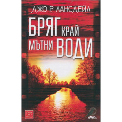 Бряг край мътни води