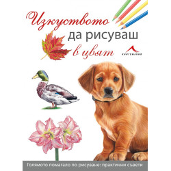 Изкуството да рисуваш в цвят