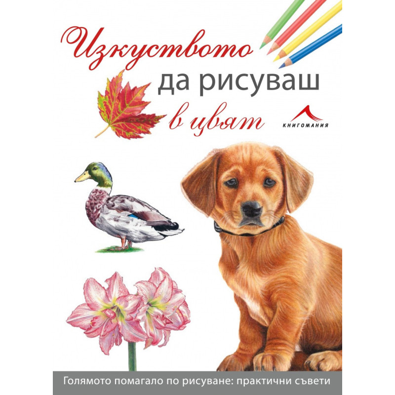 Изкуството да рисуваш в цвят