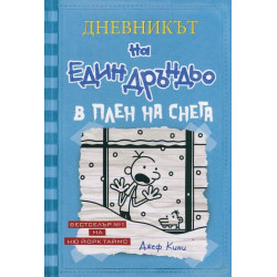 Дневникът на един Дръндьо Кн.6: В плен на снега