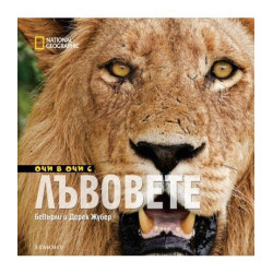 Очи в очи с лъвовете