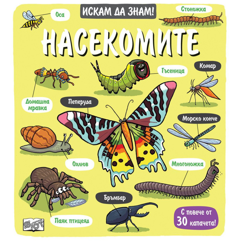 Искам да знам! Насекомите