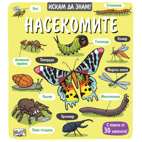 Искам да знам! Насекомите