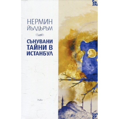Сънувани тайни в Истанбул