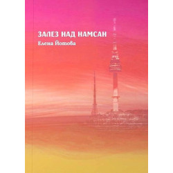 Залез над Намсан