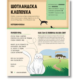 Атлас на котките