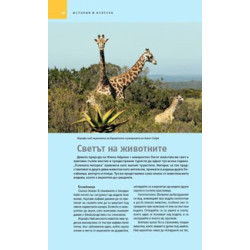 Пътеводител National Geographic: Южна Африка