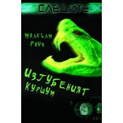 Изгубеният куршум
