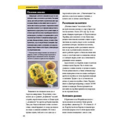 Нешънъл Джеографик проучва: Древните келти