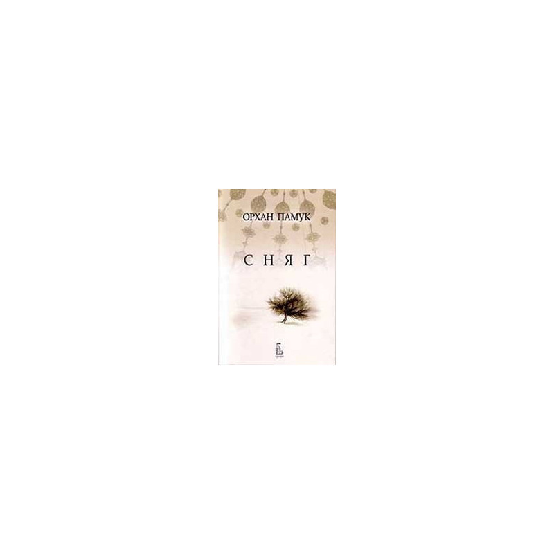 Сняг