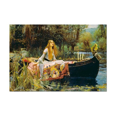 The Lady of Shalott
