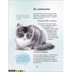 Малка Енциклопедия за Котки и Котенца