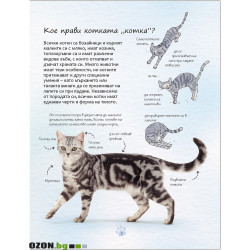 Малка Енциклопедия за Котки и Котенца
