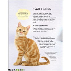 Малка Енциклопедия за Котки и Котенца
