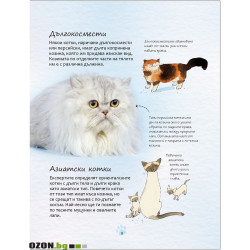 Малка Енциклопедия за Котки и Котенца