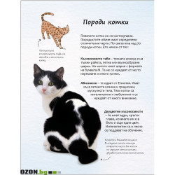 Малка Енциклопедия за Котки и Котенца