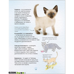 Малка Енциклопедия за Котки и Котенца