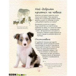 Малка Енциклопедия за Кучета и Кученца