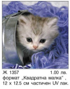 КАРТИЧКИ БЕЗ НАДПИС